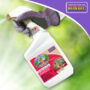 product-259225-1781655302-BND98-0119216^2